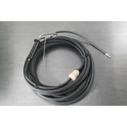 Mountain fox notebook